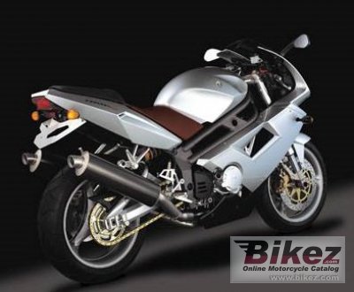 2008 mz 1000 s photo